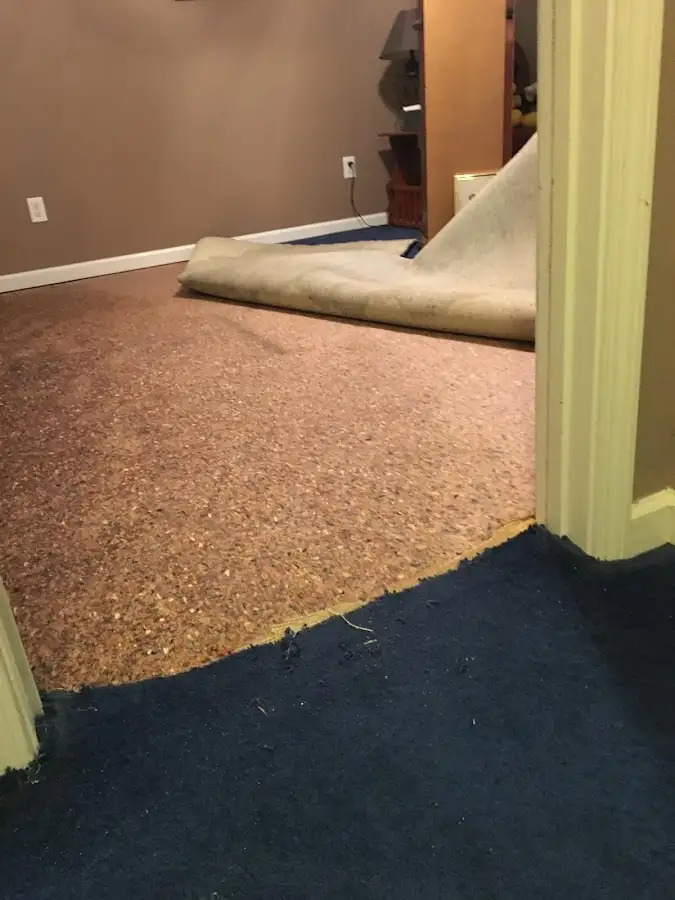 Carpet pad removal revealing water damage during Drying & Dehumidification in Fort Oglethorpe