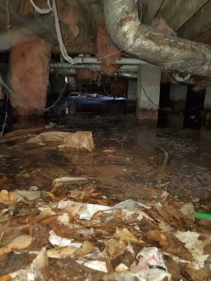 Crawl space flood assessment for Leak Detection & Repair in Fort Oglethorpe